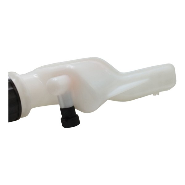 Reservatório Óleo Freio Fiat Argo Cronos 2018 2019 A 2023