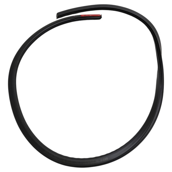 Borracha Friso Teto Esquerdo Fiat Grand Siena