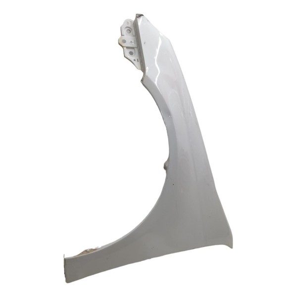 Paralama Esquerdo Volkswagen Jetta 2005 2006 2007 A 2010