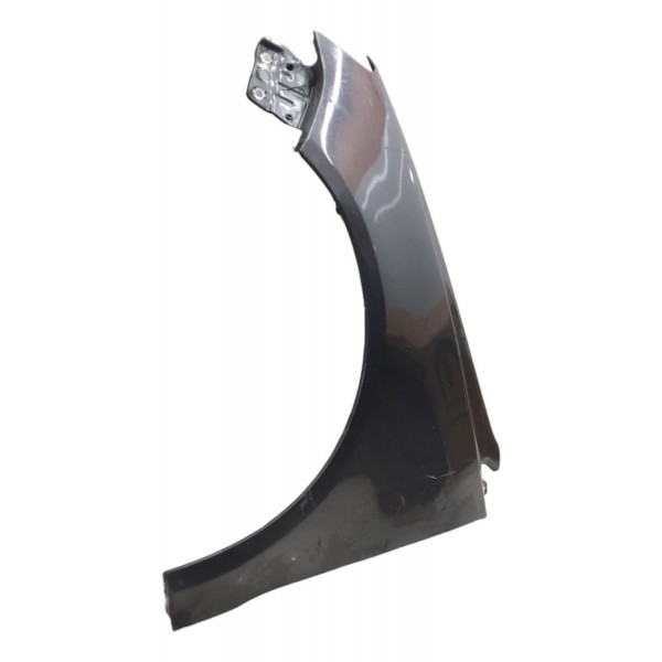 Paralama Esquerdo Volkswagen Polo 2003 2004 2005 2006