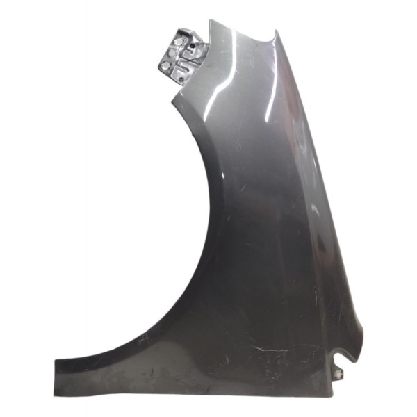 Paralama Esquerdo Volkswagen Polo 2003 2004 2005 2006