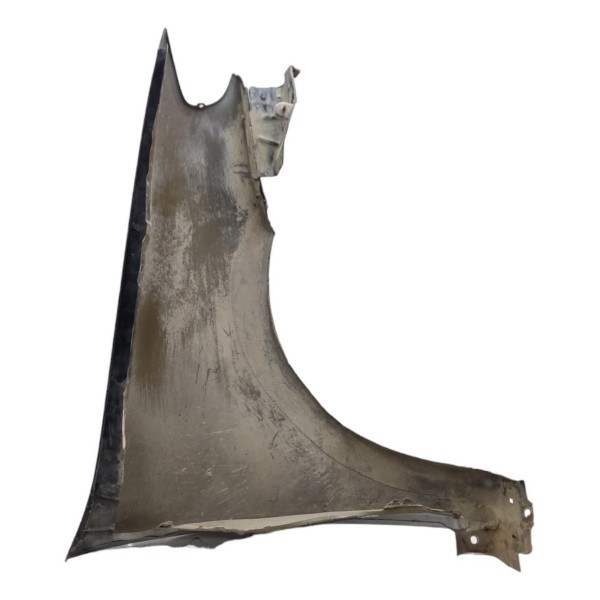 Paralama Esquerdo Fiat Palio Siena 2007 2008 2009 A 2014