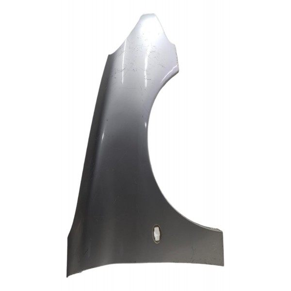 Paralama Direito Peugeot 206 2003 2004 2005 2006 2007 2008