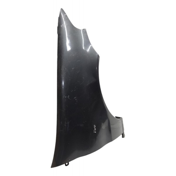 Paralama Direito Palio Siena Fire 2002 2003 2004 2005 2006