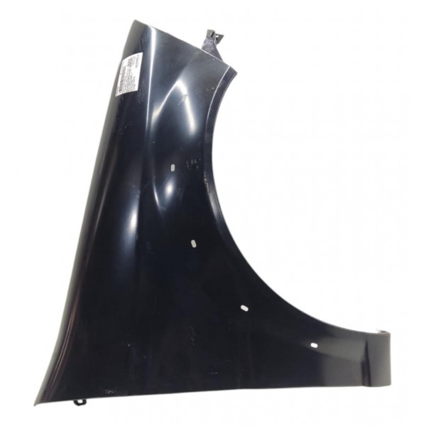 Paralama Direito Palio Week Strada Trekking 2009 2010 A 2017