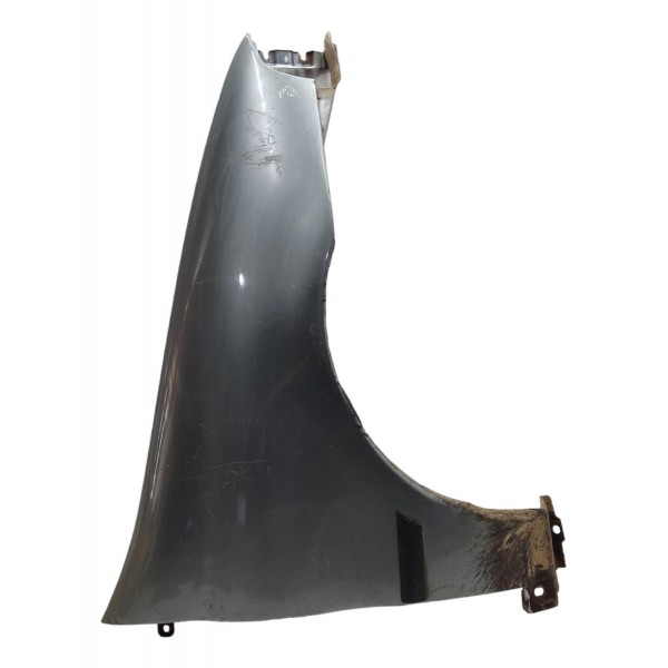 Paralama Direito Fiat Palio Siena 1996 1997 1998 1999 2000