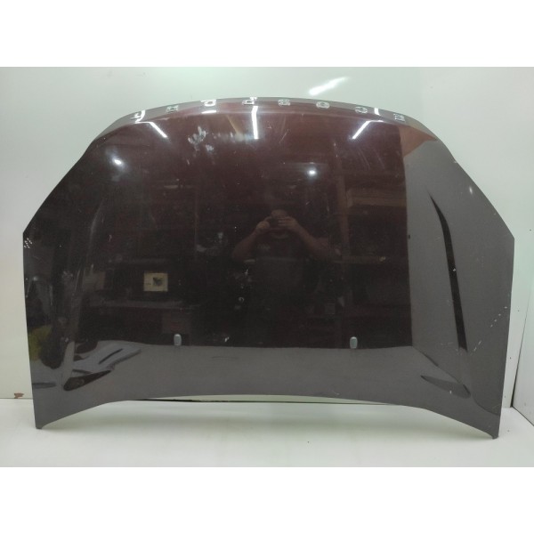 Capô Dianteiro Ford Ecosport 2008 2009 2010 2011 2012 2013