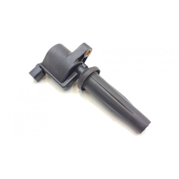 Bobina Ignição Ford Ecosport 2.0 16v Duratec 2009 A 2013