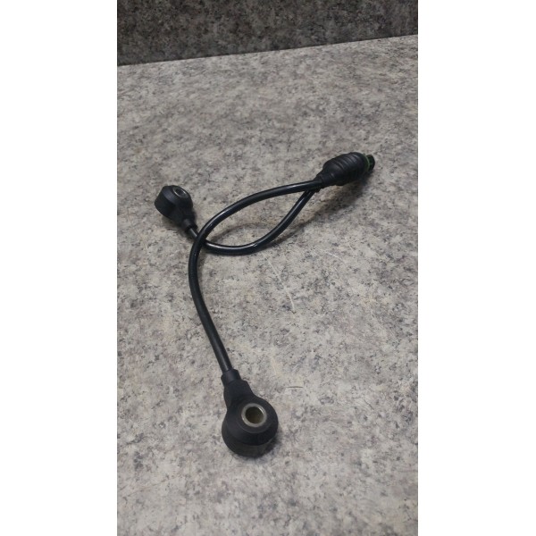 Sensor De Detonação Bmw 320i 2011 Original